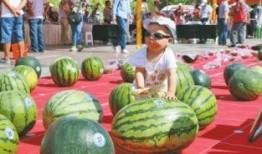 体育圈人 吃瓜网每日大赛,吃瓜网每日大赛精彩盘点